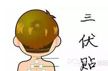 1、三伏貼有用嗎？效果好嗎？